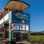 Cape Town: Franschhoek Wine Tram Hop-On Hop-Off Tour - Who Will Love This Experience?