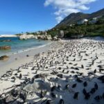 Cape Town: Full-Day Cape of Good Hope and Boulders Tour - Exploring Bo-Kaap: A Colorful Cultural Gem