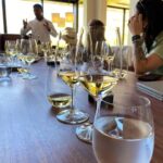 Cape Town: Full-Day Private Cape Winelands Tour and Tastings - What to Expect from the Full-Day Cape Winelands Tour