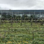 Cape Town: Full-Day Stellenbosch and Franschhoek Wine Tour - A Closer Look at the Itinerary