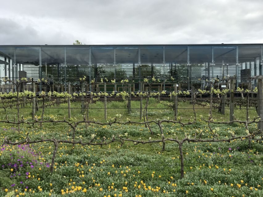 Cape Town: Full-Day Stellenbosch and Franschhoek Wine Tour - A Closer Look at the Itinerary