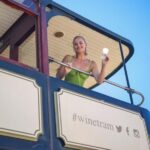 Cape Town: Full-Day Wine Tasting Tour with Wine Tram - What We Love About This Tour