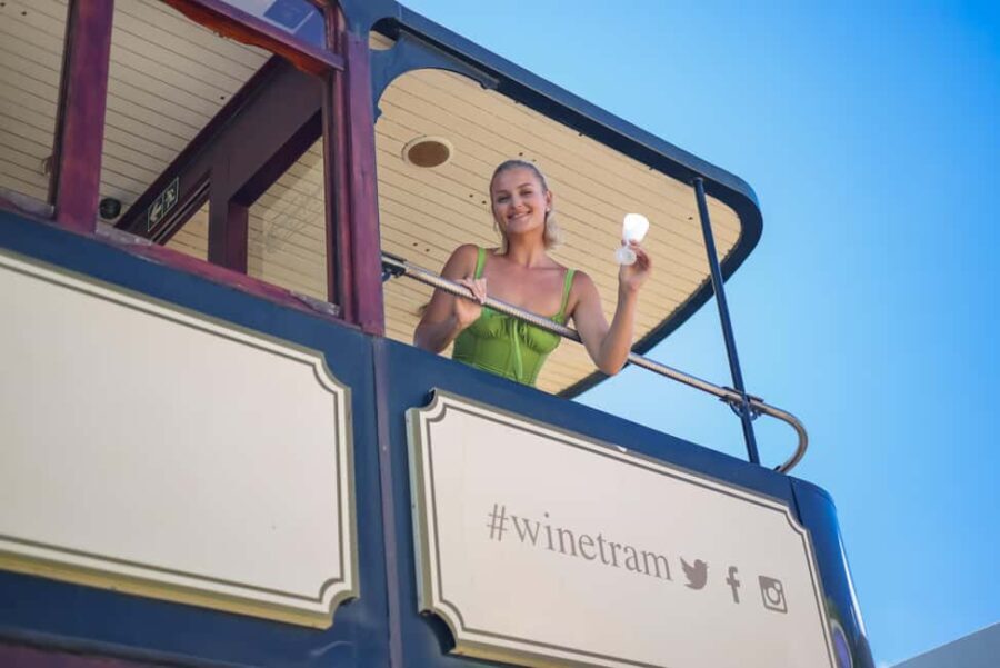 Cape Town: Full-Day Wine Tasting Tour with Wine Tram - What We Love About This Tour