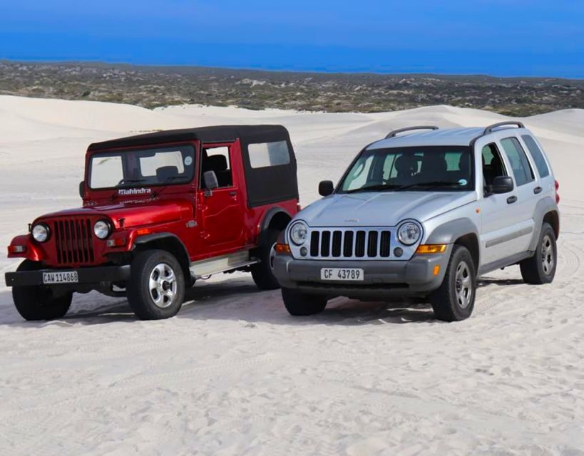 CAPE TOWN: GLAM SANDBOARDING IN ATLANTIS DUNES WITH WILDX - The Transportation and Logistics