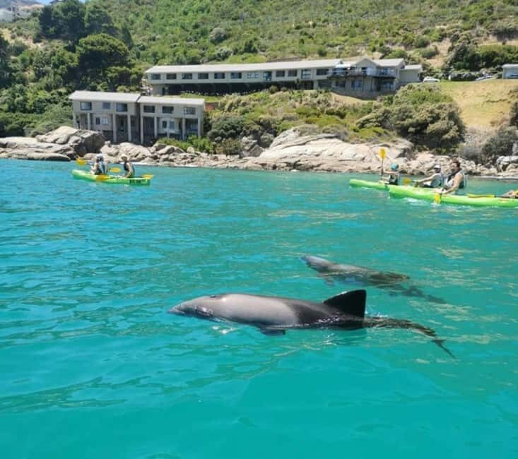 Cape Town: Guided Kayaking in Hout Bay - The Guides and Equipment