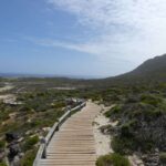 Cape Town: Guided Marine Wildlife Cruise and Cape Point Tour - Real Travelers’ Insights