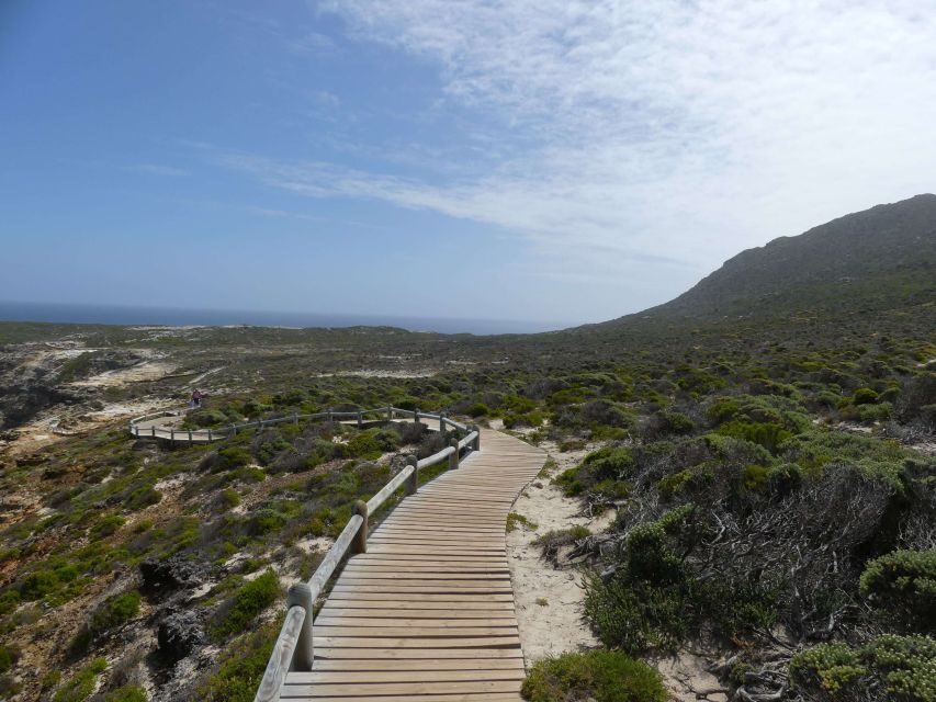 Cape Town: Guided Marine Wildlife Cruise and Cape Point Tour - Real Travelers’ Insights