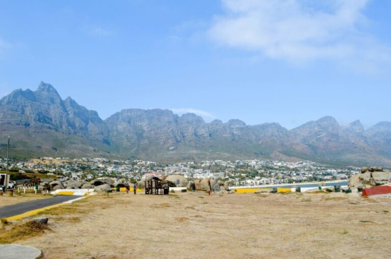 Cape Town: Half-Day City Tour - Authentic Insights from Reviewers