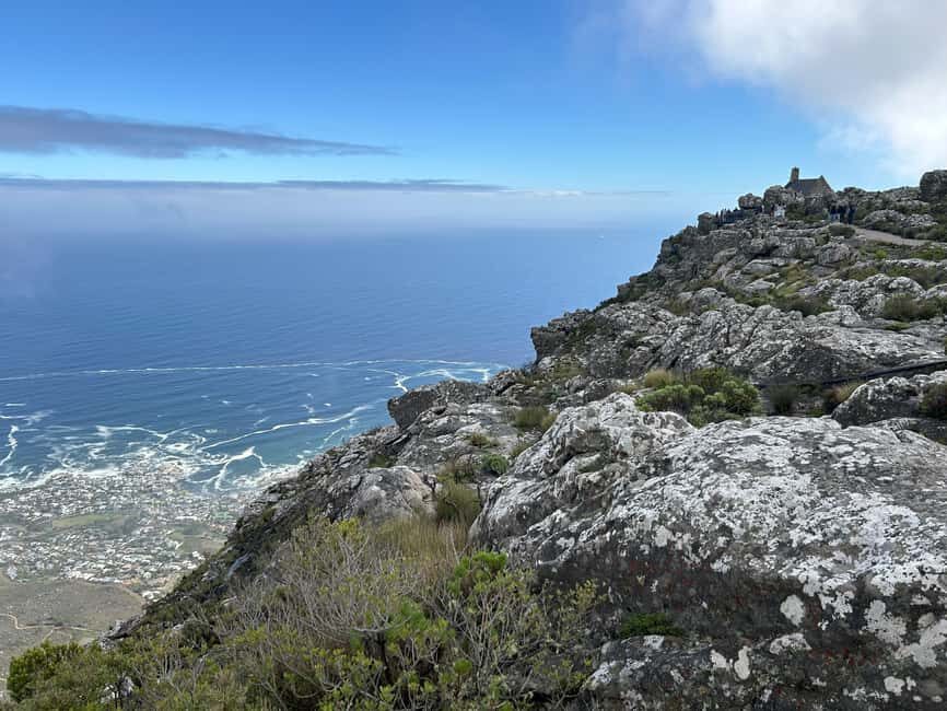 Cape Town: Half Day Table Mountain & Kirstenbosch Gardens - Who Should Consider This Tour?