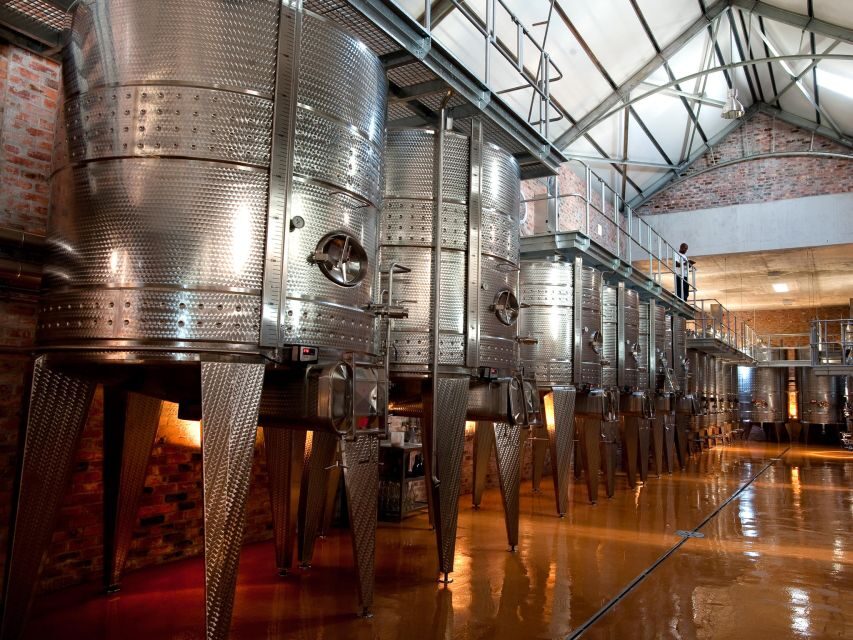 Cape Town: Half-Day Wineries and Tastings Small Group Tour - Visiting three distinct estates