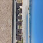 Cape Town: Halfday African Penguin tour - What You Can Expect from This Cape Town Tour