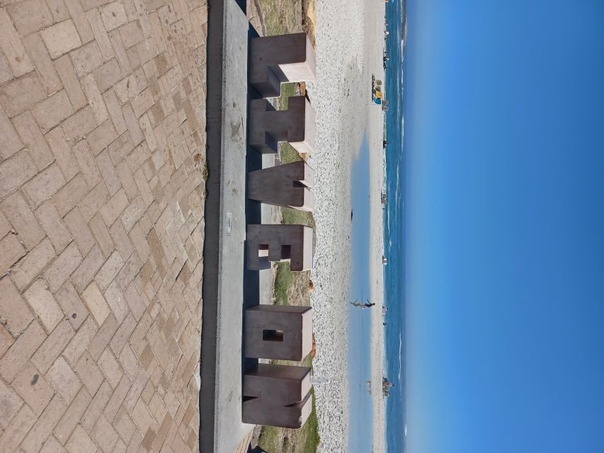 Cape Town: Halfday African Penguin tour - What You Can Expect from This Cape Town Tour