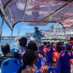 Cape Town: Harbor Cruise - Value for Money and Practical Details