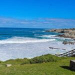 Cape Town: Hermanus Land Based Whale Watching Tour - The Shore-Based Whale Watching Experience