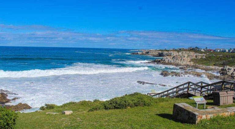 Cape Town: Hermanus Land Based Whale Watching Tour - The Shore-Based Whale Watching Experience