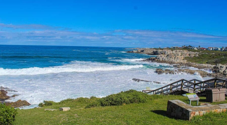 Cape Town: Hermanus Land Based Whale Watching Tour - The Shore-Based Whale Watching Experience