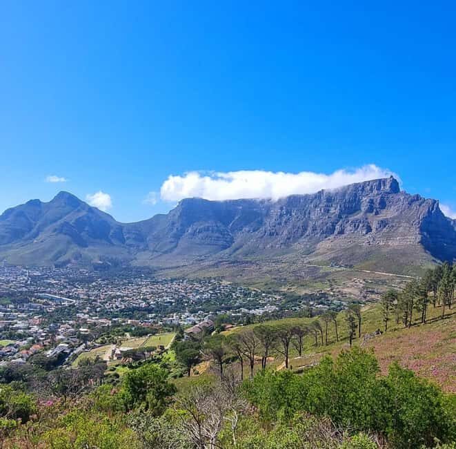 Cape Town: Historical and Scenic Mother City Tour - Vibrant Bo-Kaap and Its Cultural Heart