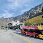 Cape Town: Hop-On Hop-Off Bus Tour with Optional Cruise - The Itinerary: What You Can Expect