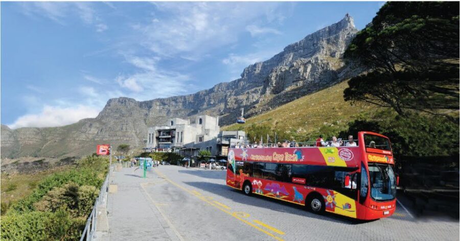Cape Town: Hop-On Hop-Off Bus Tour with Optional Cruise - The Itinerary: What You Can Expect