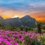 Cape Town: Kirstenbosch Botanical Garden Entry Ticket - Pricing and Value Analysis