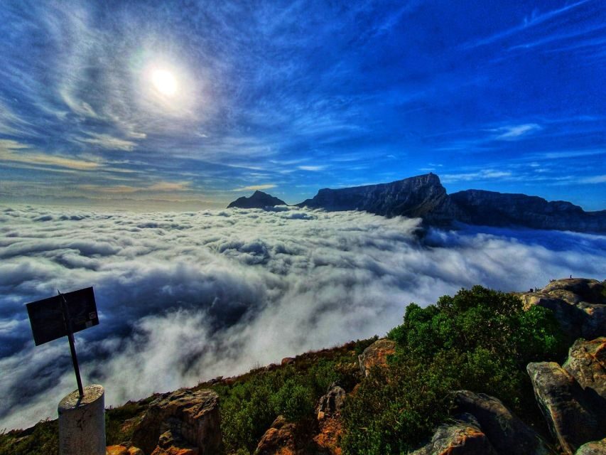 Cape Town: Lions Head Hike & Picnic - What to Expect During Your Lion’s Head Ascent