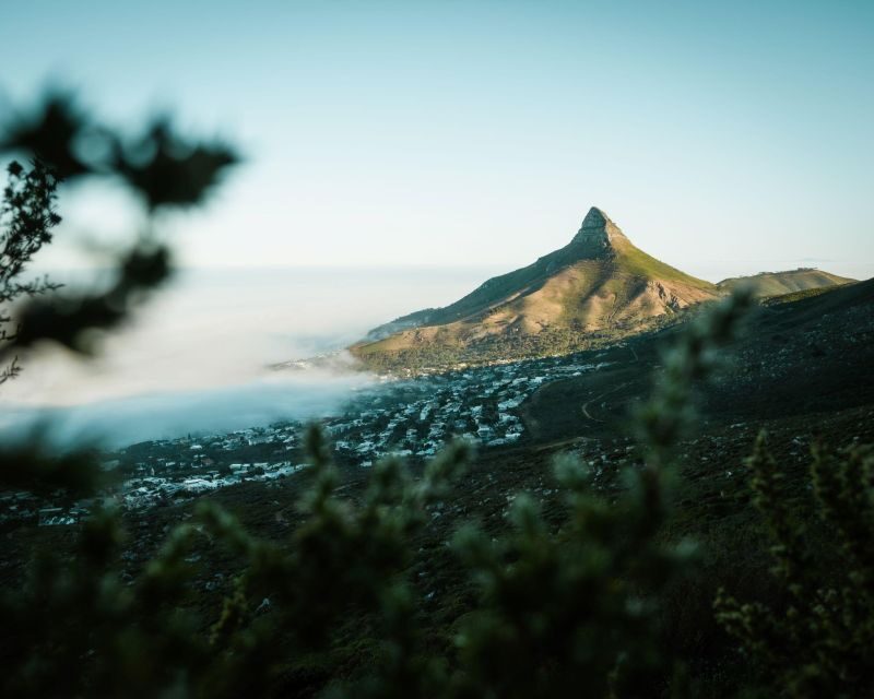 Cape Town: Lion's Head Hiking Experience - Key Points