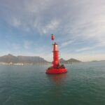 Cape Town: Marine Big 5 Ocean Safari from V&A Waterfront - An In-Depth Look at the Ocean Safari Experience