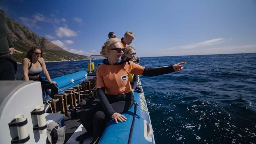 Cape Town: Marine Big 5 Ocean Safari & Research Expedition - Final Thoughts: Why Choose the Marine Big 5 Ocean Safari?