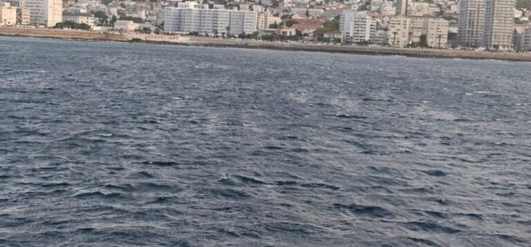 Cape Town: Ocean Safari 1 Hour - The Experience: Pros and Cons