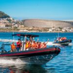 Cape Town Ocean Safari: Speed Boat Adventure in Table Bay - Who Would Love This Tour?