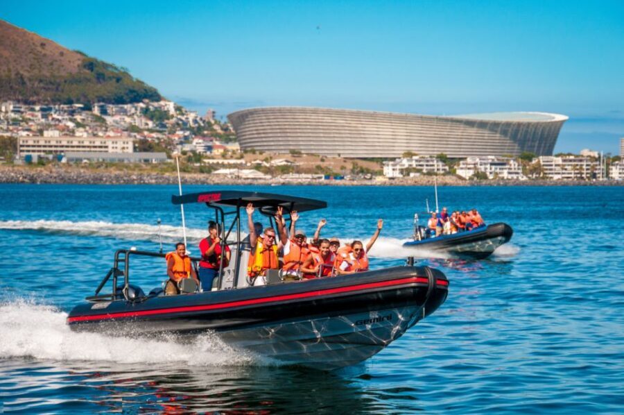 Cape Town Ocean Safari: Speed Boat Adventure in Table Bay - Who Would Love This Tour?