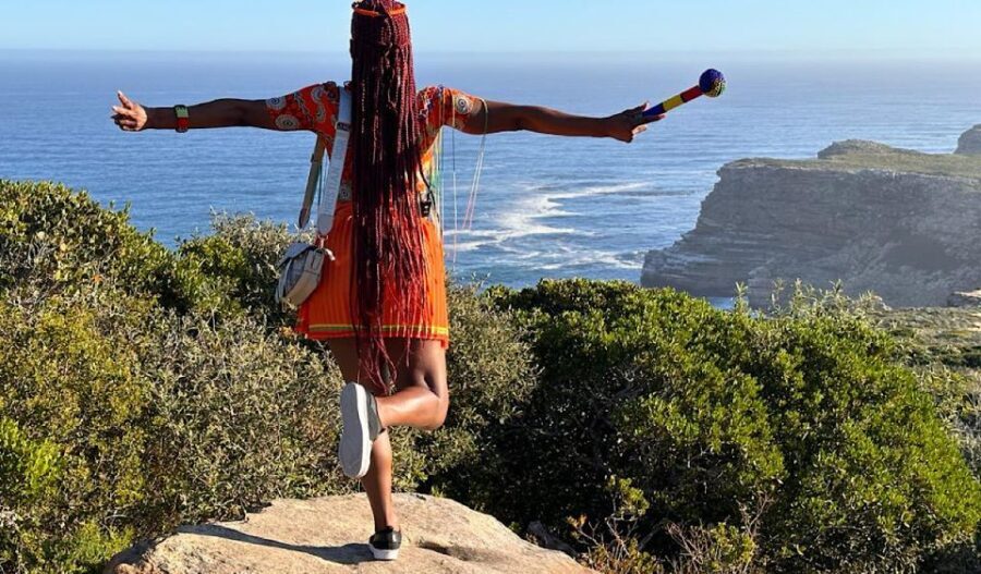 Cape Town: Penguins & Cape of Good Hope Half Day Shared Tour - What’s Included — and What’s Not