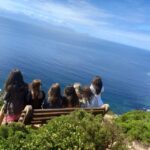 Cape Town: Penguins & Cape of Good Hope Half-Day Tour - The Itinerary: A Closer Look