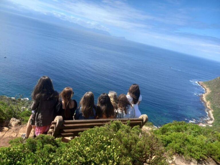 Cape Town: Penguins & Cape of Good Hope Half-Day Tour - The Itinerary: A Closer Look