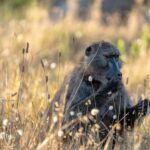 Cape Town: Photography Tutoring in the city with a local - The Value of the Experience