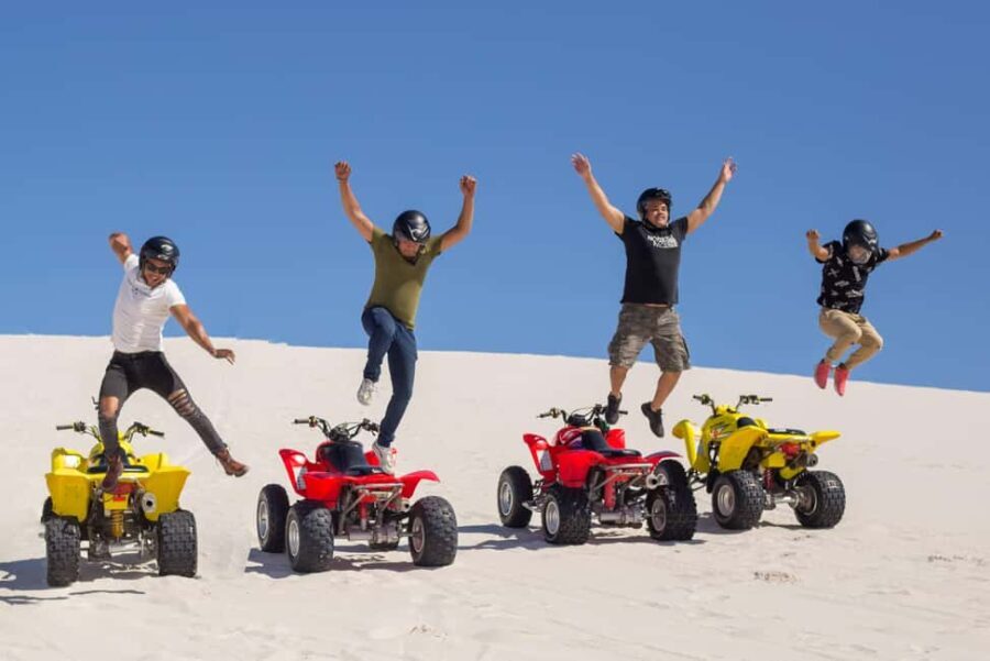 Cape Town: Premium Attractions City Pass with Bus Tour - The Attractions and Experiences