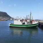 Cape Town: Private Cape Point and Cape Peninsula Tour - FAQ