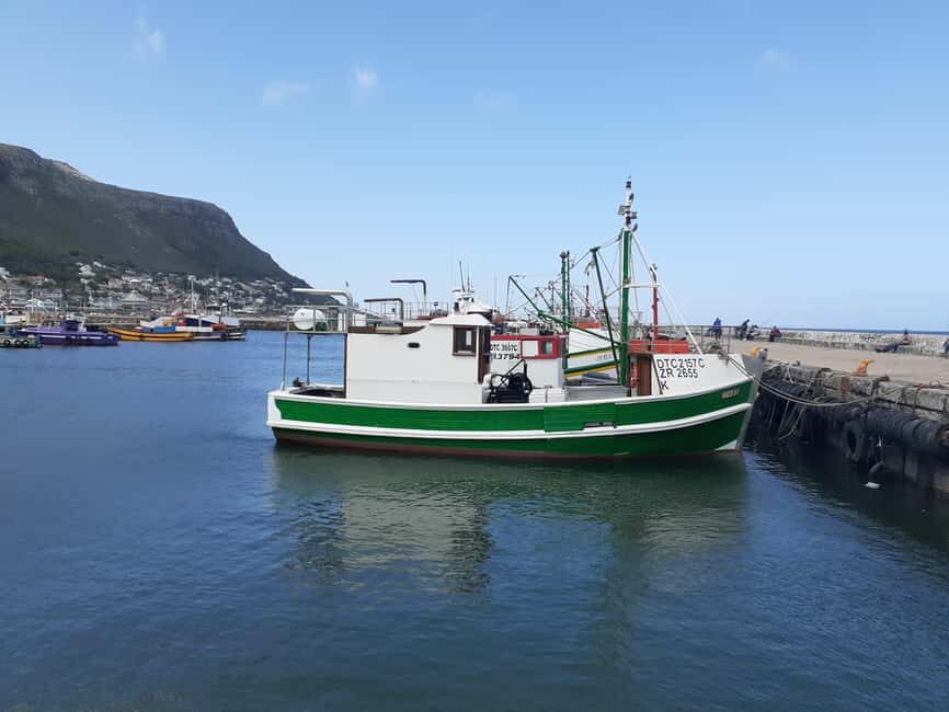 Cape Town: Private Cape Point and Cape Peninsula Tour - FAQ