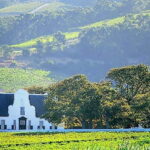 Cape Town: Private Cape Winelands Full-Day Wine Tasting Tour - What’s Included and What to Keep in Mind
