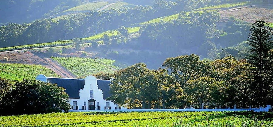 Cape Town: Private Cape Winelands Full-Day Wine Tasting Tour - What’s Included and What to Keep in Mind