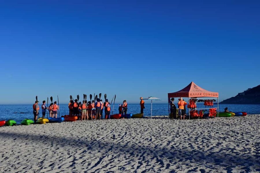 Cape Town: Private Guided Kayak Tour - Why This Tour Offers Great Value