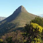 Cape Town: Private Half day Hiking tour to Lion head - Practical Tips for Your Tour