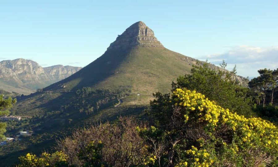 Cape Town: Private Half day Hiking tour to Lion head - Practical Tips for Your Tour