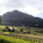 Cape Town: Private Half Day Winelands Tour - Who Will Love This Tour?
