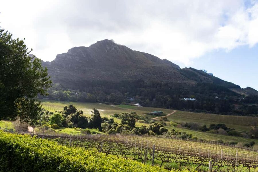 Cape Town: Private Half Day Winelands Tour - Who Will Love This Tour?