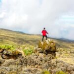 Cape Town: Private Table Mountain Guided Hike with Pickup - What’s Included and What to Expect