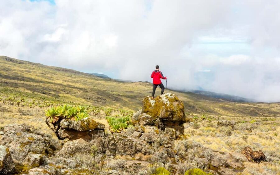 Cape Town: Private Table Mountain Guided Hike with Pickup - What’s Included and What to Expect