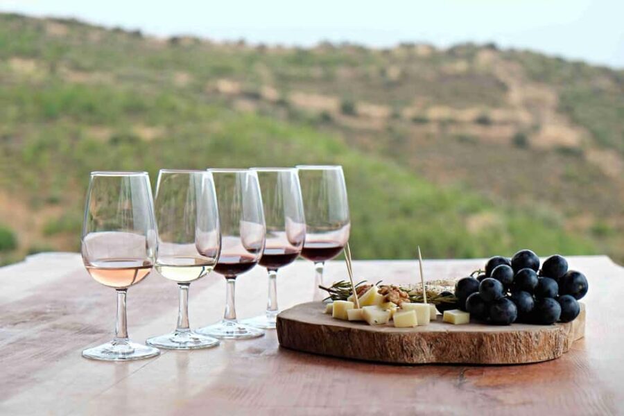 Cape Town: Private Tour of Cape Peninsula and Winelands - What Makes This Tour Stand Out?