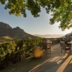 Cape Town: Private Wine Tour with Tastings and Lunch - Who Will Love This Tour?