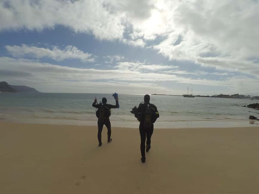 Cape Town: Scuba Diving Experience for Beginners - What to Expect from This Cape Town Scuba Experience